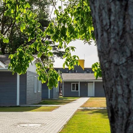Poiana Cu Flori Satu Mare Exterior foto