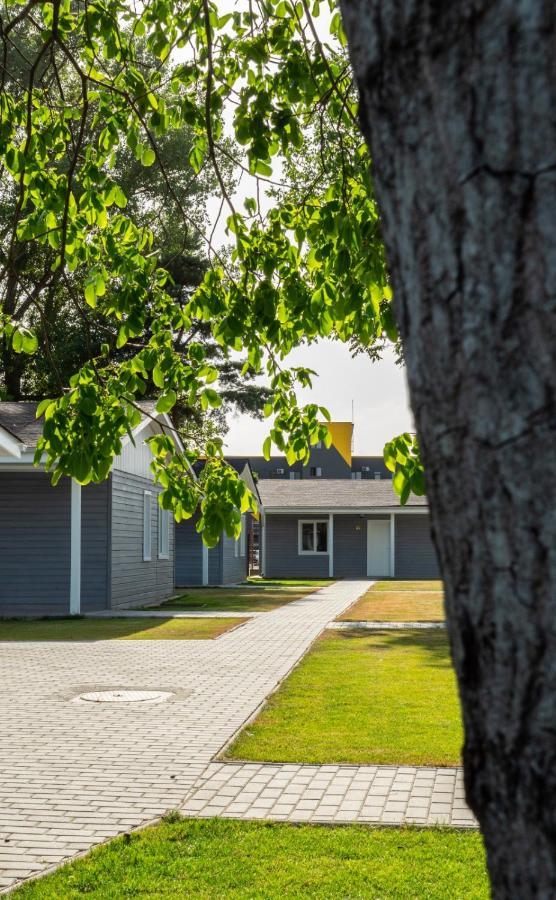 Poiana Cu Flori Satu Mare Exterior foto